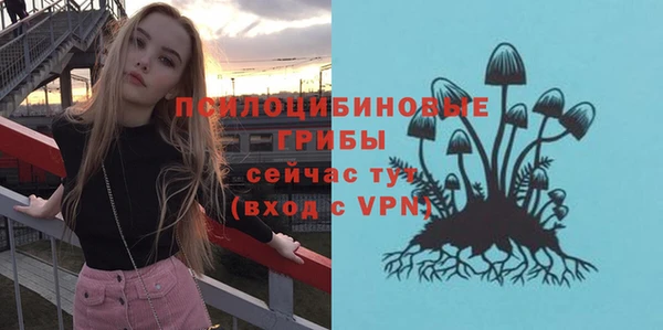 ALPHA-PVP Белокуриха