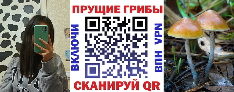 купить   Кукмор  мориарти клад  Галлюциногенные грибы мухоморы 